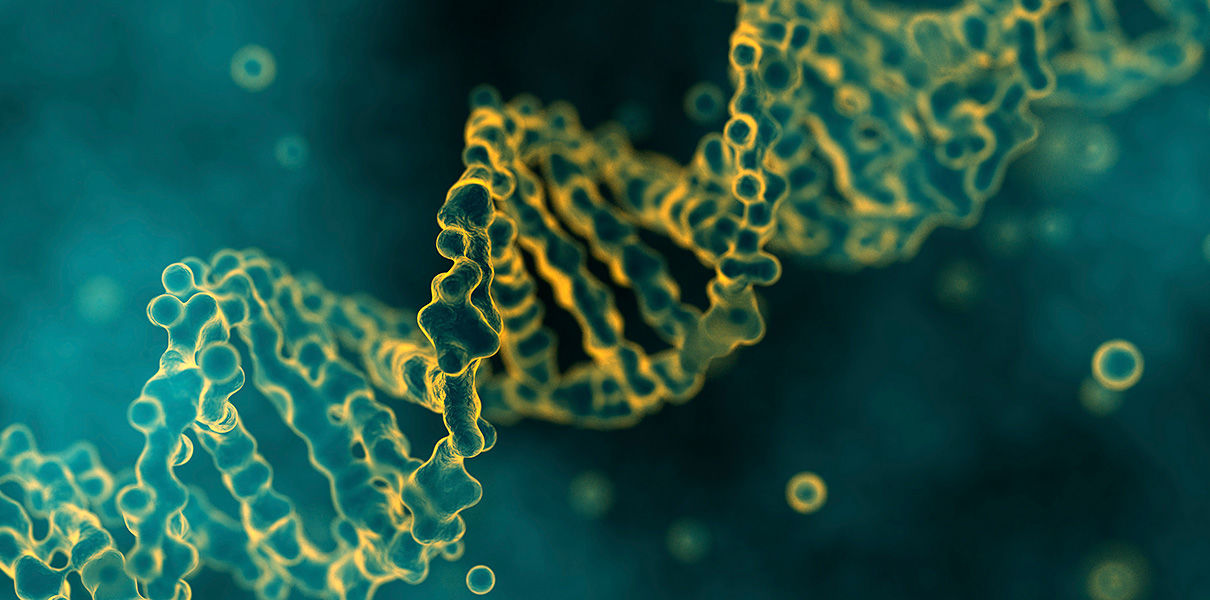 «Темная ДНК» может оказаться новой движущей силой эволюции