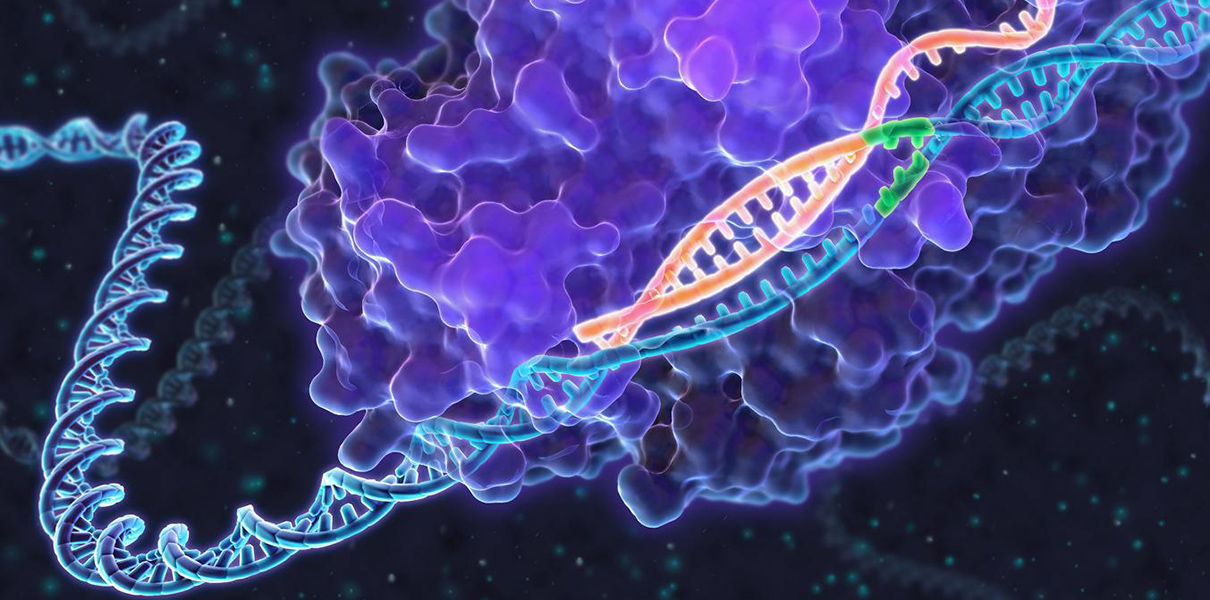 Разработан более простой метод редактирования ДНК, чем CRISPR