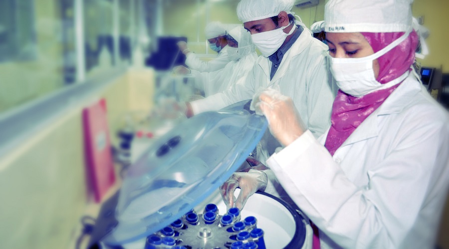  В регионах Узбекистана создадут четыре фармацевтические индустриальные зоны