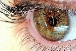 Ученые обнаружили новую роль витамина C в деятельности глаз и мозга