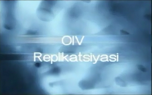 OIV replikaciyasi