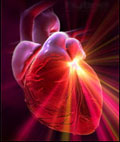 Анизоцитоз эритроцитов связан с риском ишемической болезни сердца
