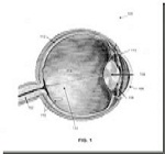 Колорадские ученые изобрели "усилитель" зрения