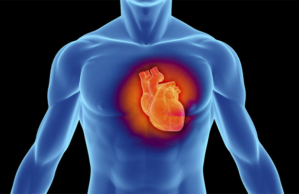 Как прокачать свое сердце и защититься от инфаркта