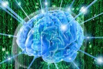 Американским ученым удалось выделить ''нейронные слепки'' воспоминаний
