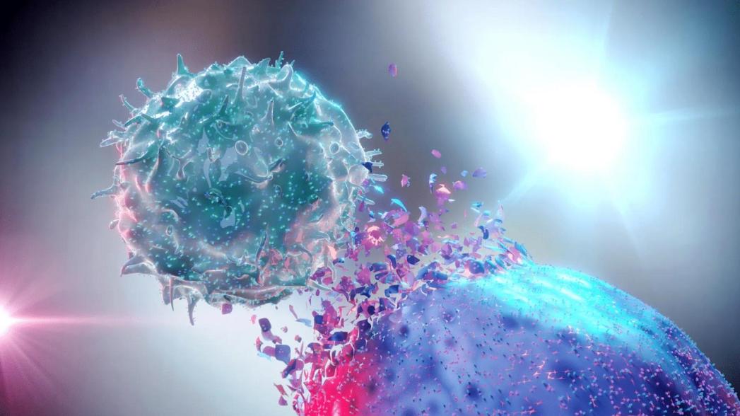 Новый метод визуализации клеток, который может помочь разгадать рак