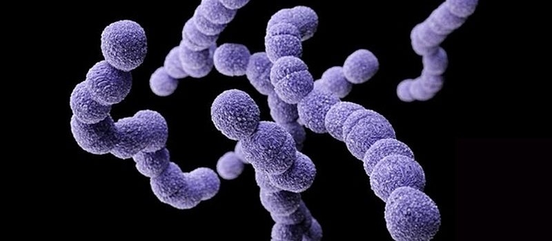 Сотни японцев пострадали от плотоядной бактерии