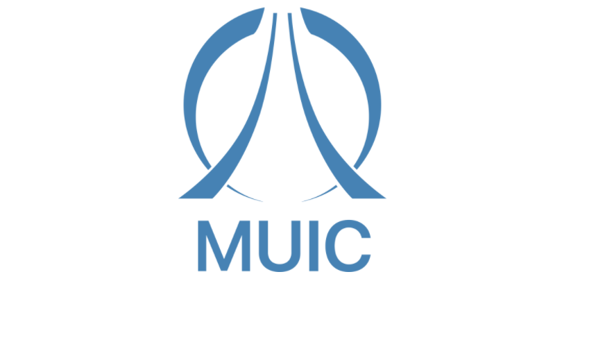 Резиденты «MUIC» подлежат обязательной аудиторской проверке