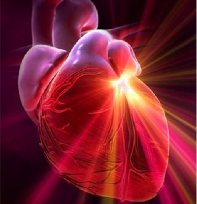 Клетки сердца можно заставить регенерироваться  