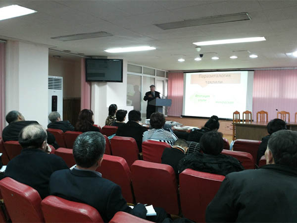 pic4.jpg